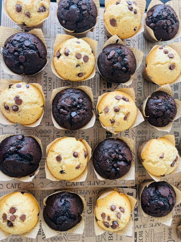 WhatsApp Image 2026-02-04 at 9.34.49 AM (2)